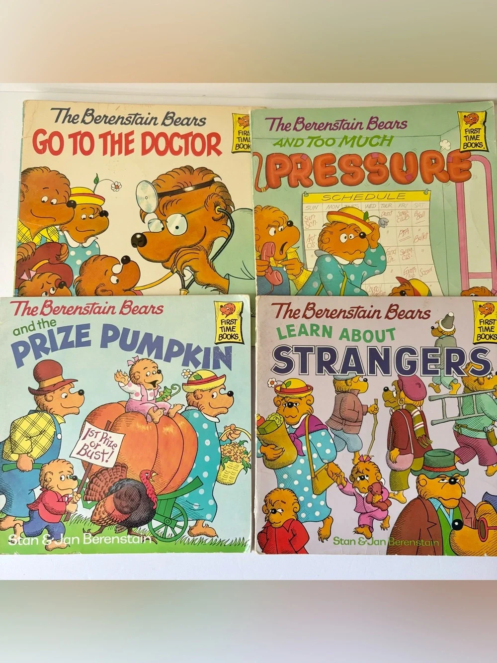 The Berenstain Bears Book Lot